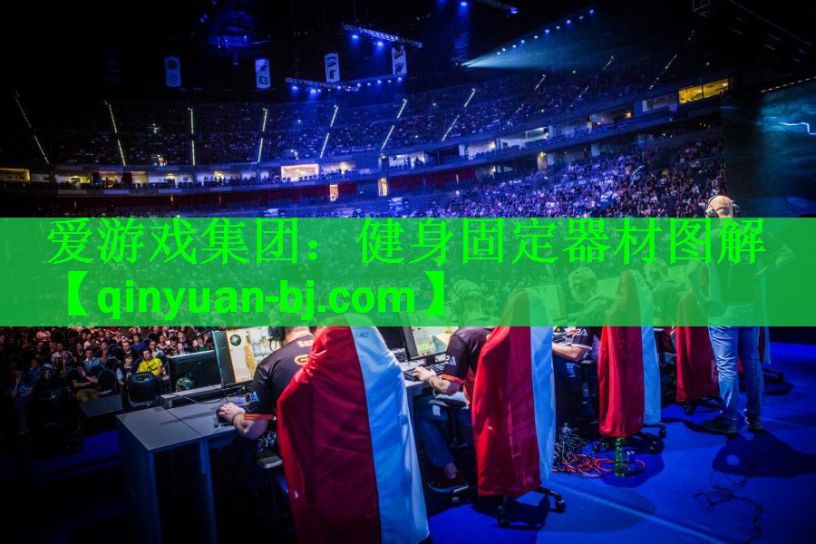 爱游戏集团：健身固定器材图解