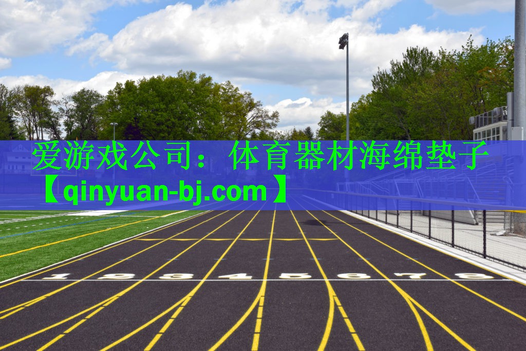 爱游戏公司：体育器材海绵垫子