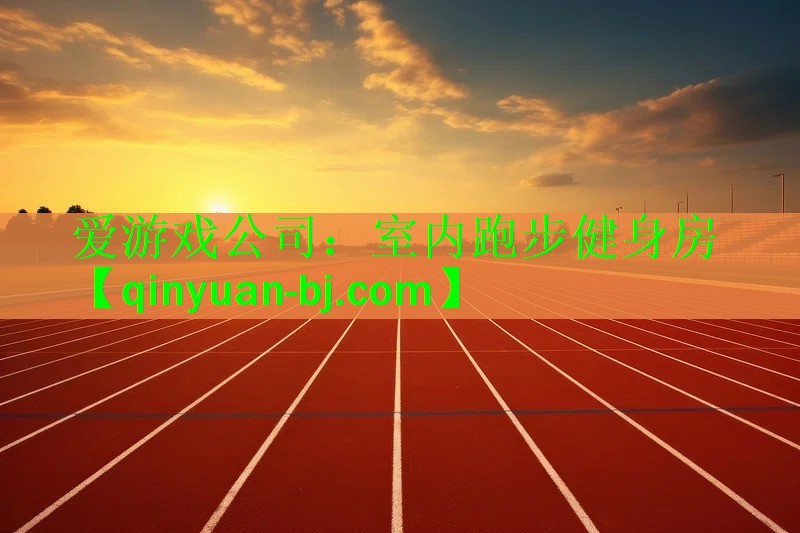 爱游戏公司：室内跑步健身房