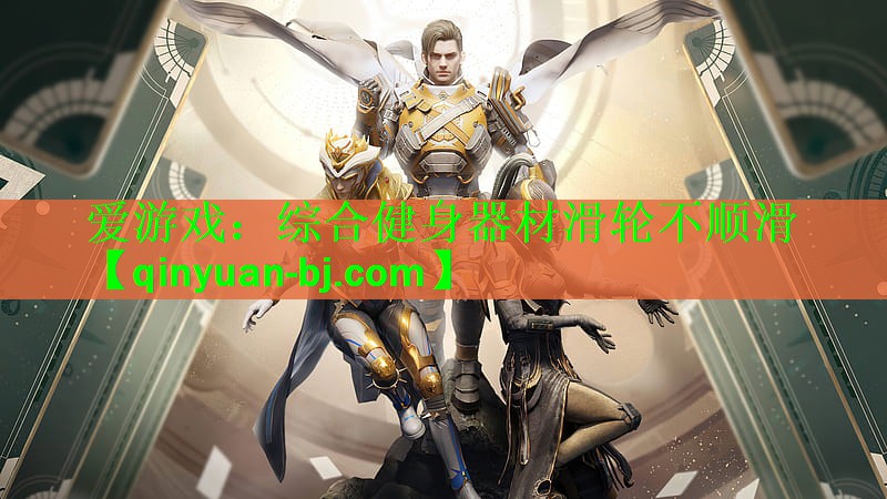 爱游戏：综合健身器材滑轮不顺滑