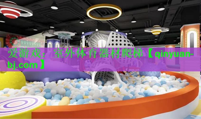 <strong>爱游戏：室外体育器材爬梯</strong>