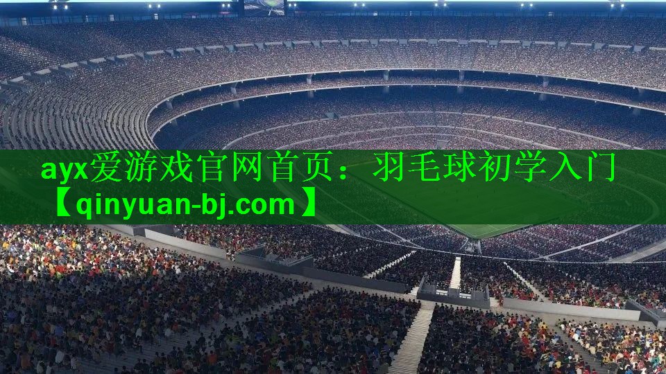 <strong>ayx爱游戏官网首页：羽毛球初学入门</strong>