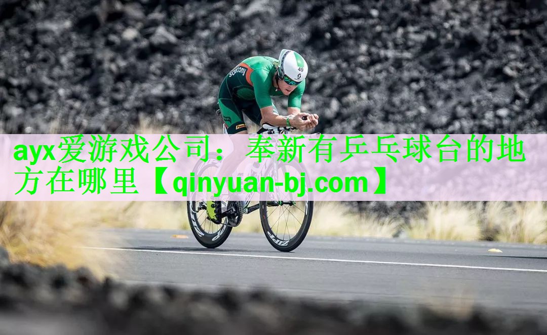 奉新有乒乓球台的地方在哪里
