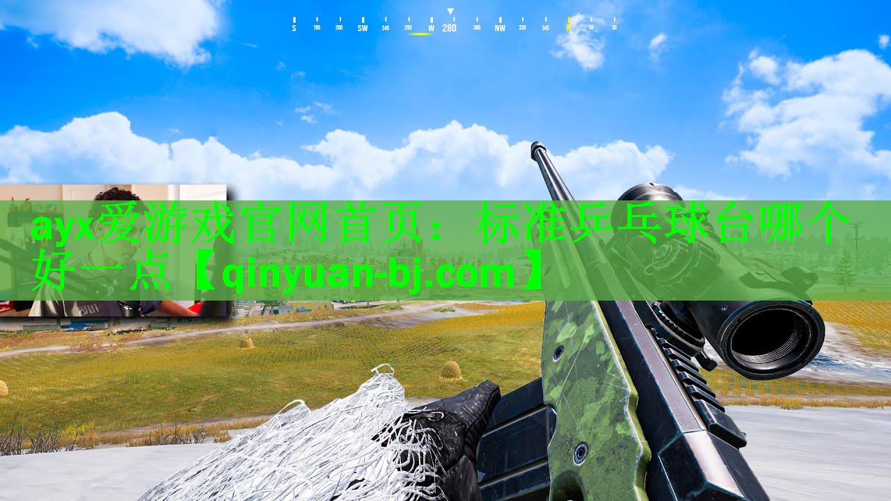 标准乒乓球台哪个好一点