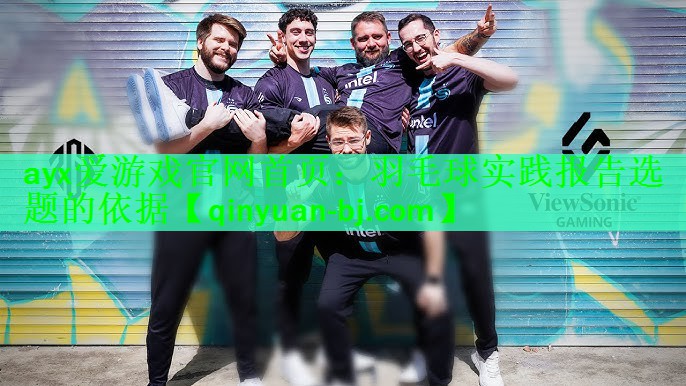 羽毛球实践报告选题的依据